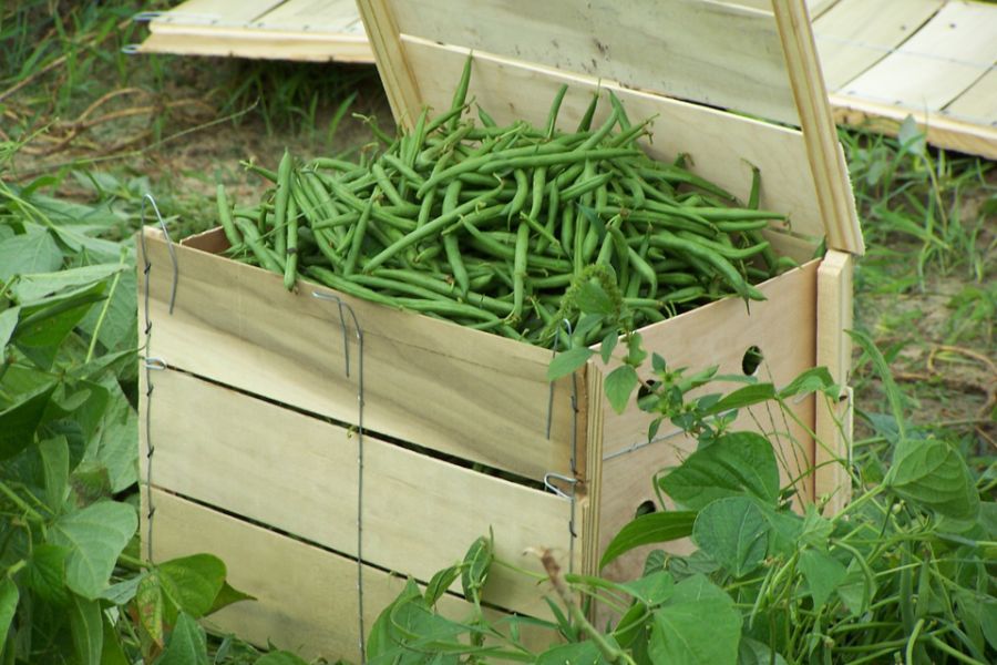 Farm Promotion, Marketing & Sales