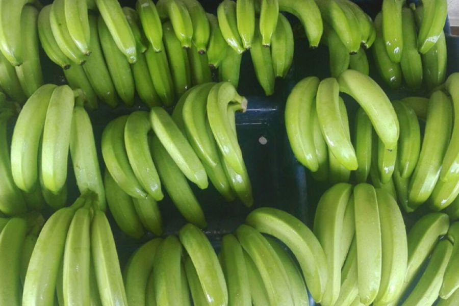 Bananas