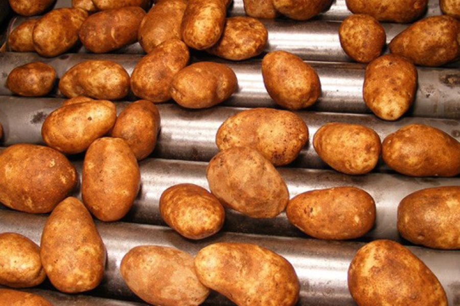Potatoes